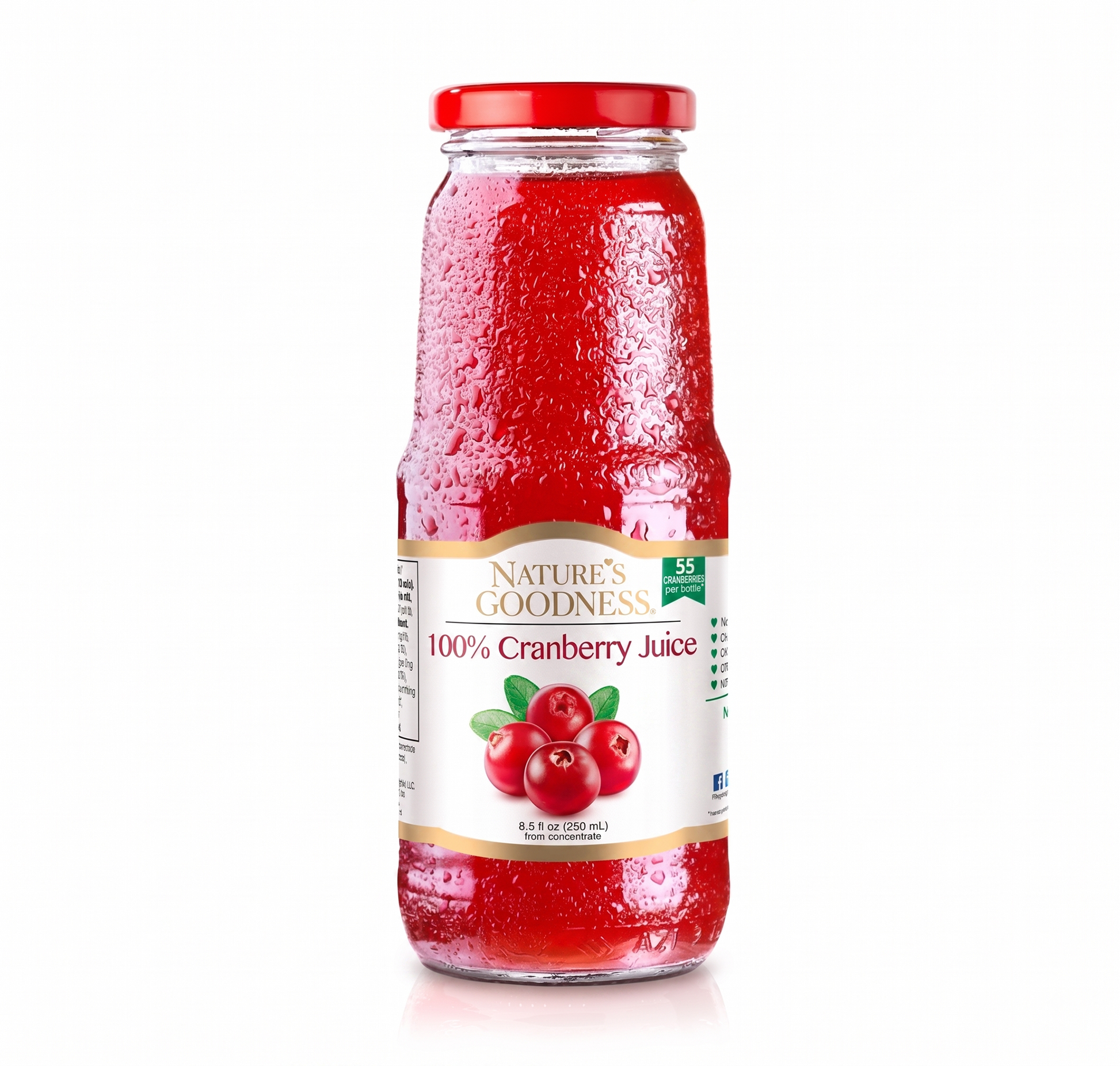Cranberry Juice <br> 8.5 FL OZ (250 ML) <br>